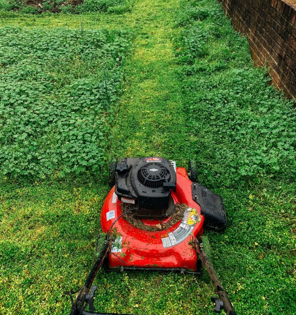 Lawn Mower Cutting Grass